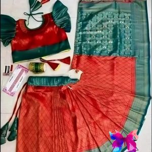 ইন্ডিয়ান কাঞ্জিভরম রেডিশাড়ি
