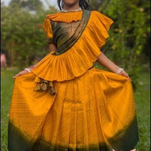 ইন্ডিয়ান কাঞ্জিভরম লেহেঙ্গা