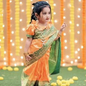 সফ্ট সিল্ক কাতান রেডিশাড়ি
